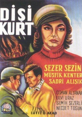 Póster de Dişi Kurt