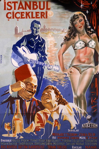 Póster de İstanbul Çiçekleri