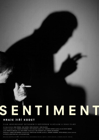 Póster de Sentiment