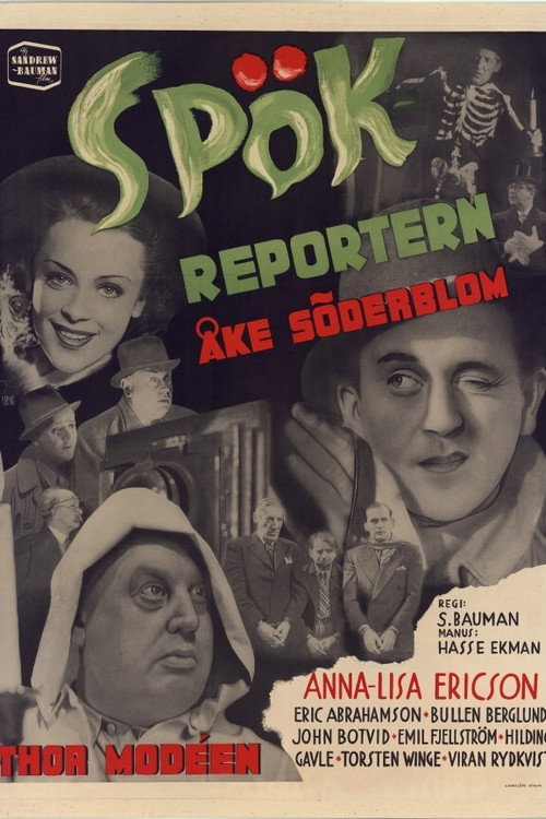Póster de Spökreportern