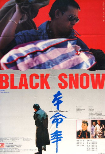 Póster de Black Snow