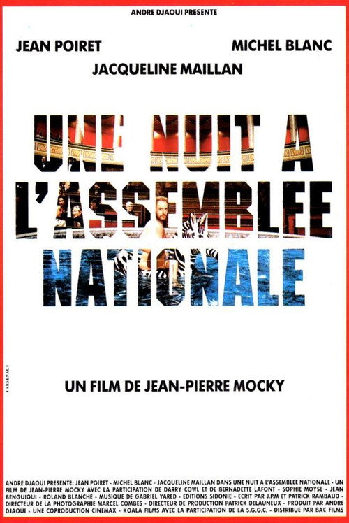 Póster de Une nuit à l'Assemblée Nationale