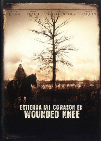 Póster de Entierren Mi Corazón En Wounded Knee