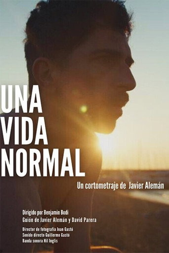 Póster de Una vida normal