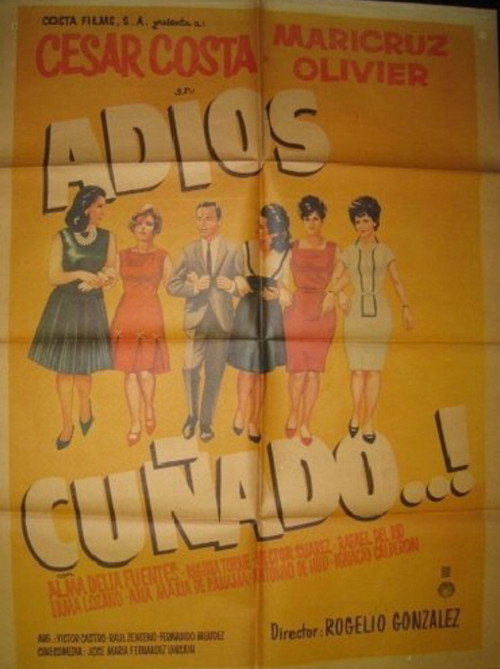 Póster de Adios cuñado