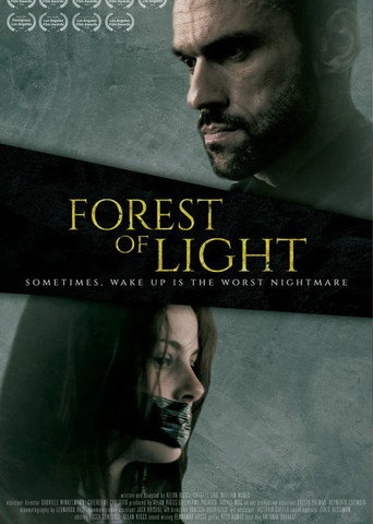 Póster de Floresta da luz