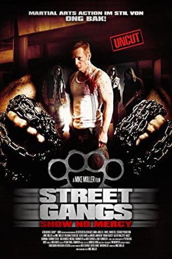 Póster de Arena of the Street Fighter