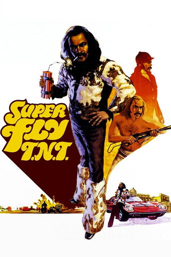 Póster de Super Fly T.N.T.