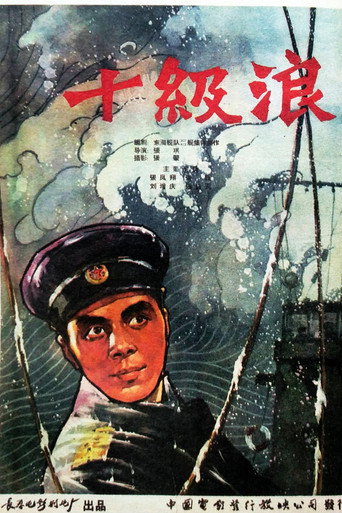 Póster de 十级浪