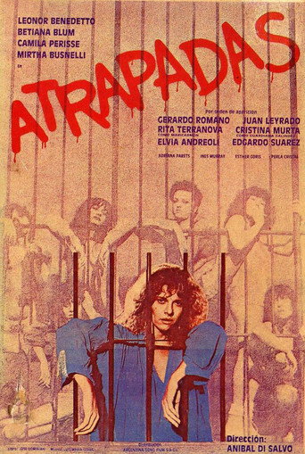 Póster de Atrapadas