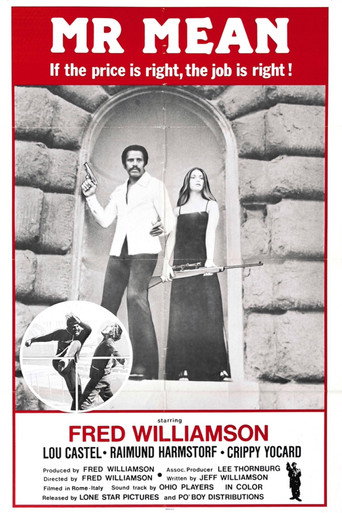 Póster de Mr. Mean
