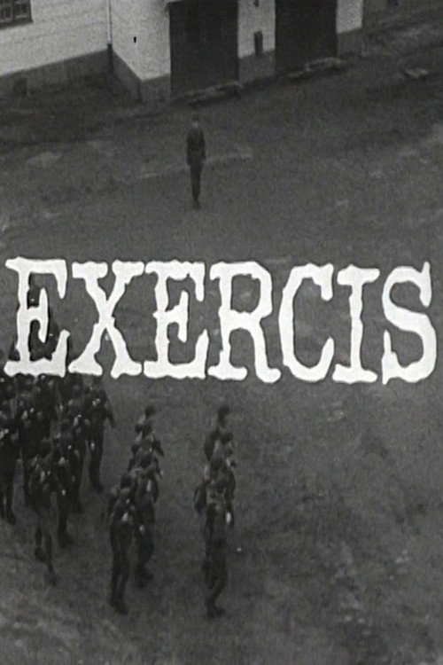 Póster de Exercis