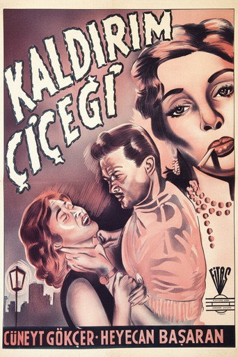 Póster de Kaldırım Çiçeği