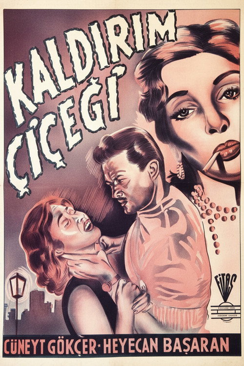 Póster de Kaldırım Çiçeği