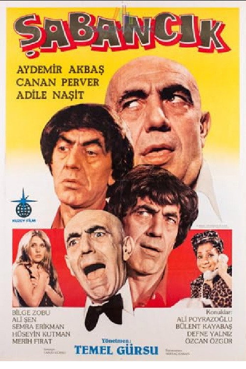 Póster de Şabancık