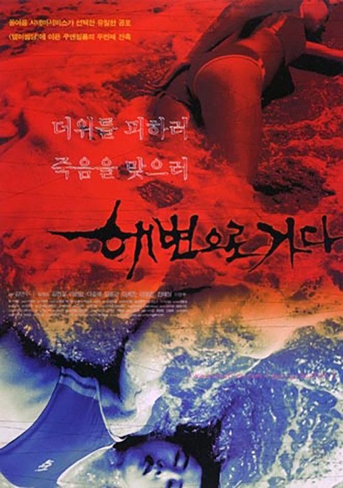 Póster de 해변으로 가다