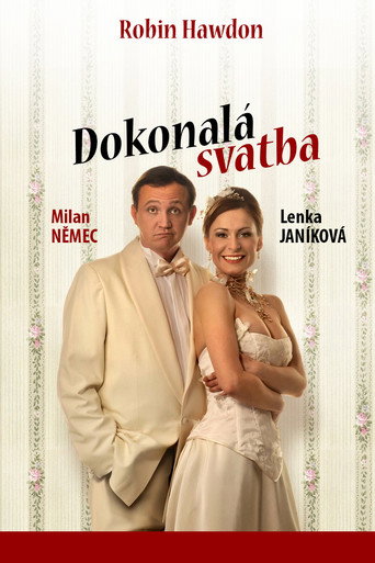 Póster de Dokonalá svatba