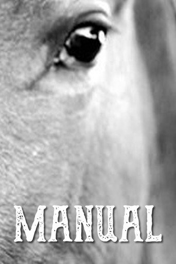 Póster de Manual