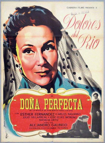 Póster de Doña Perfecta