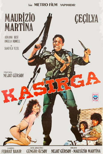 Póster de Kasırga - Rakeos