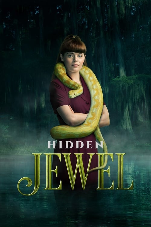 Póster de La joya secreta