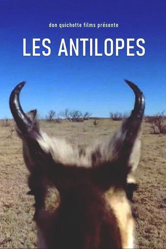 Póster de Les Antilopes