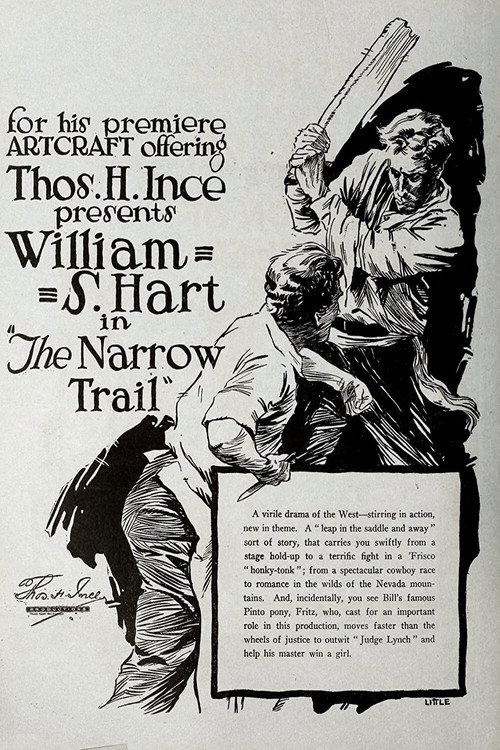 Póster de The Narrow Trail