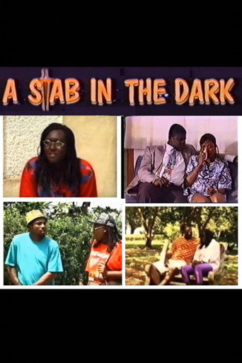 Póster de A Stab in the Dark