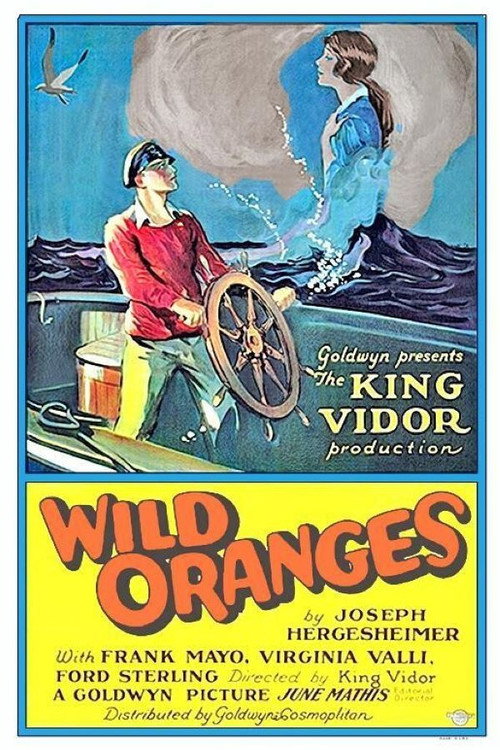 Póster de Wild Oranges