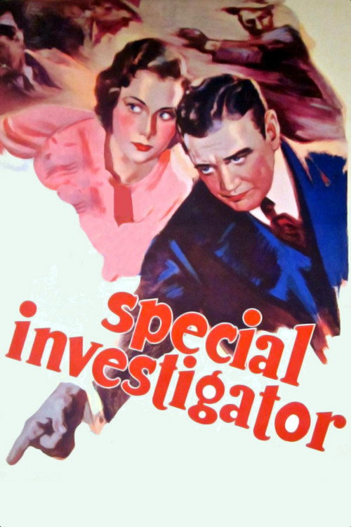Póster de Special Investigator