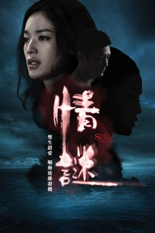 Póster de 情谜