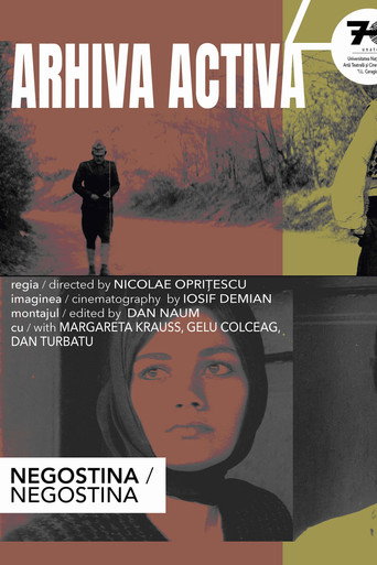 Póster de Negostina