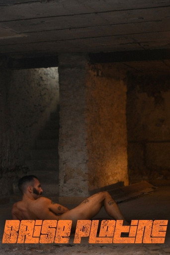 Póster de Baise platine