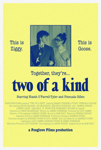 Póster de Two of a Kind
