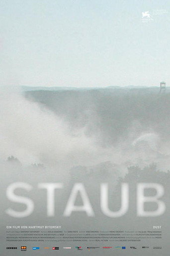 Póster de Staub