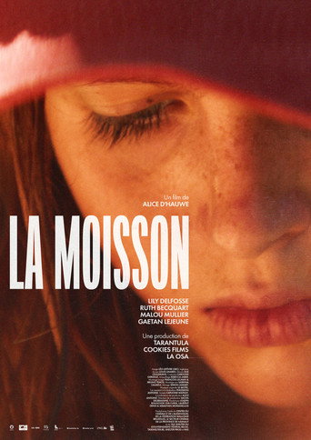 Póster de The Harvest