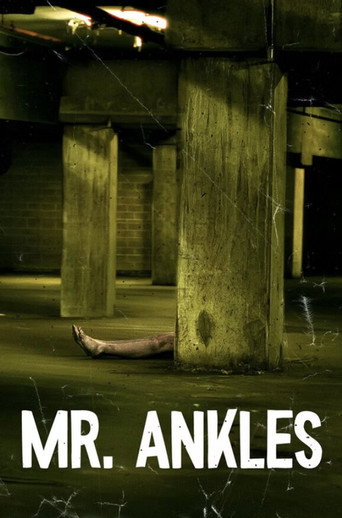 Póster de Mr. Ankles