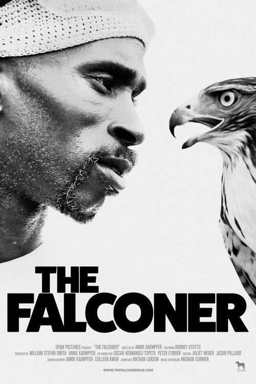 Póster de The Falconer