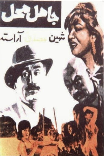 Póster de جاهل محل