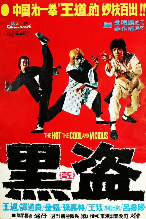 Póster de 南拳北腿活閻王