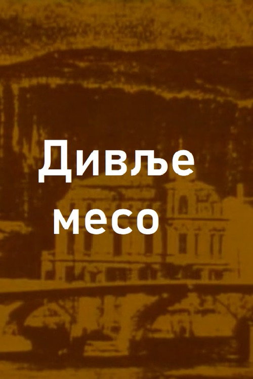 Póster de Divlje meso
