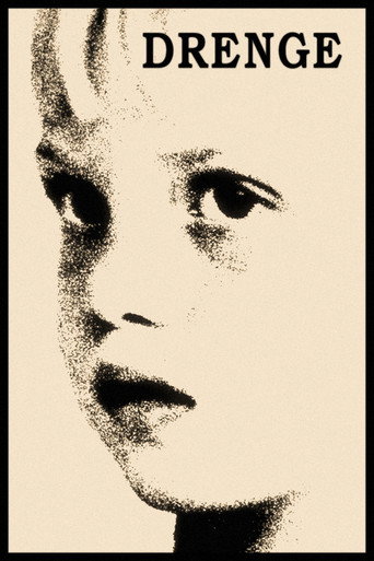 Póster de Drenge