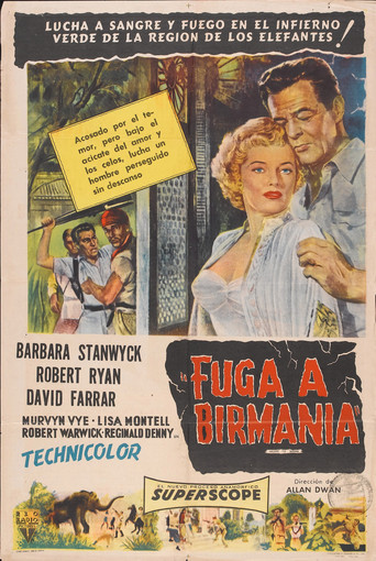 Póster de Fuga a Birmania