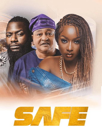 Póster de Safe