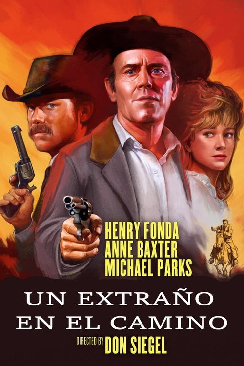 Póster de Stranger on the Run