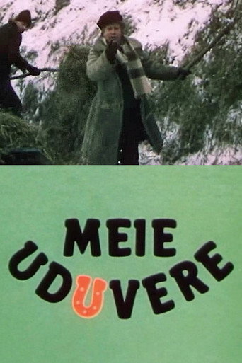 Póster de Meie Uduvere
