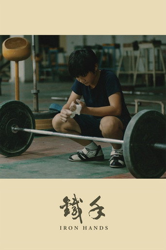 Póster de 铁手