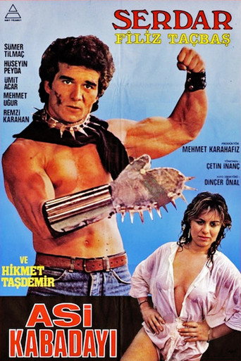 Póster de Asi Kabadayı