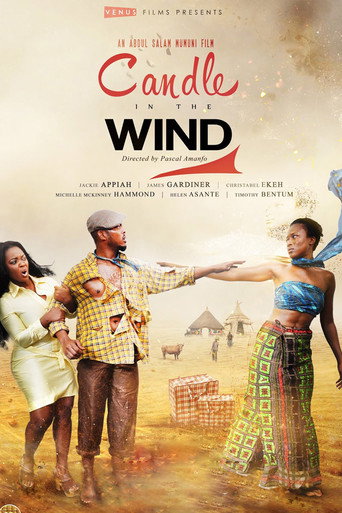 Póster de Candle in the Wind