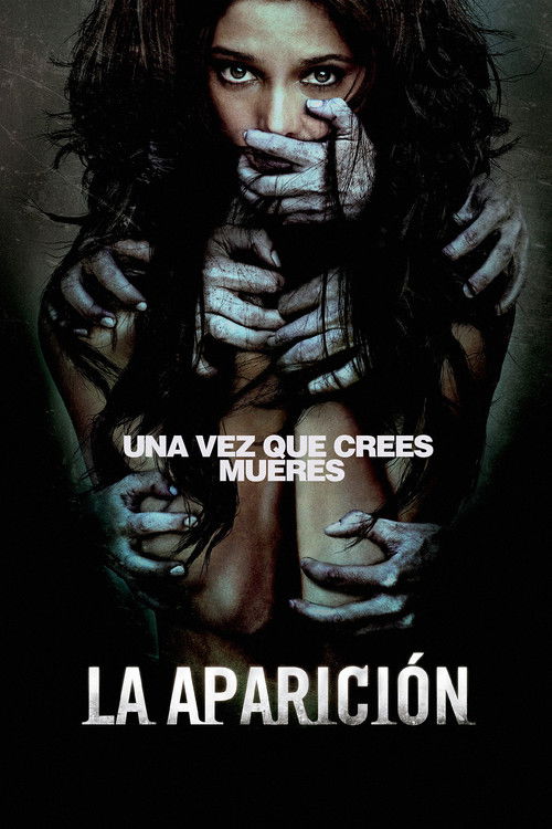 Póster de La aparicion